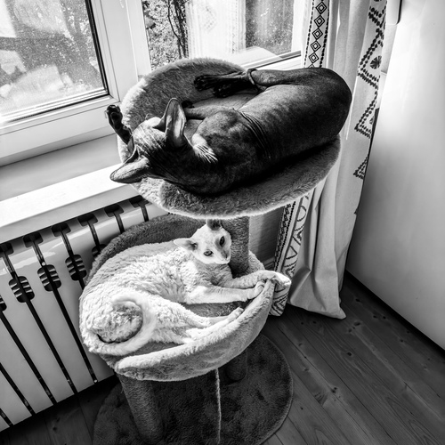 Photo #14037864