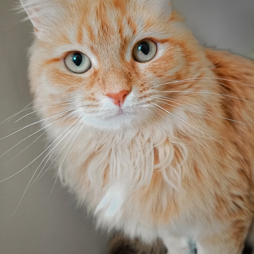 Photo #14037884