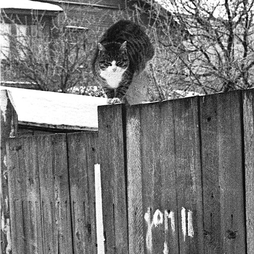 Photo #14037937
