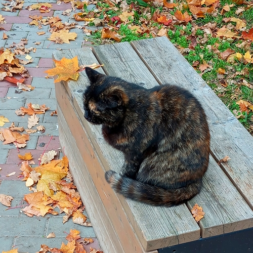 Photo #14037968