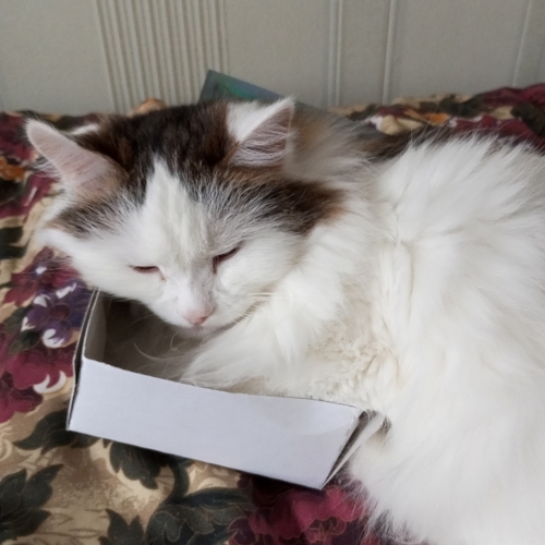 Photo #14037969