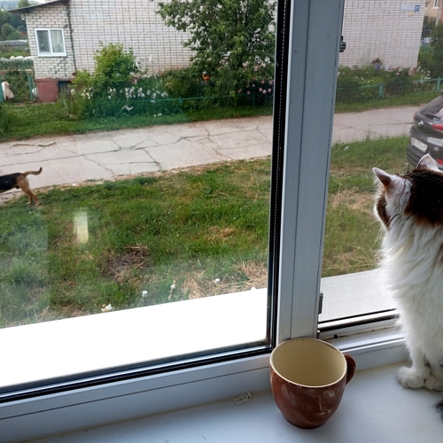 Photo #14037971