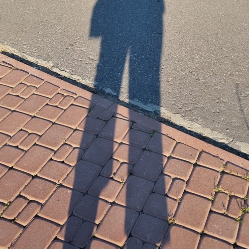 Photo #14037981
