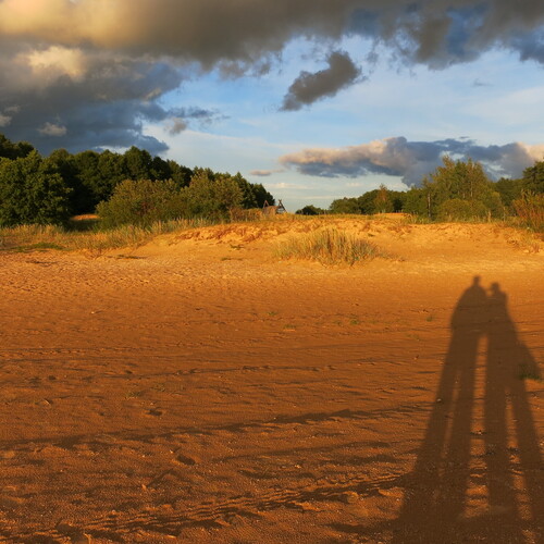 Photo #14037982
