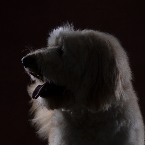 Photo #14038000