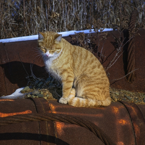 Photo #14038046