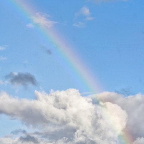 Photo #14038053