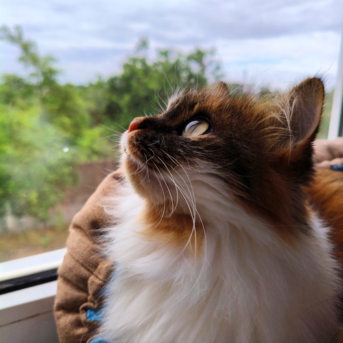 Photo #14038136