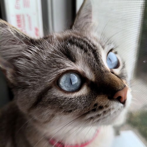 Photo #14038137
