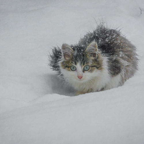 Photo #14038144