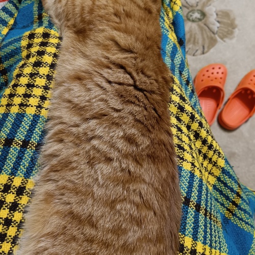 Photo #14038176