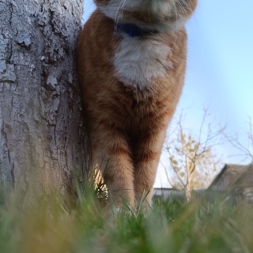 Photo #14038178