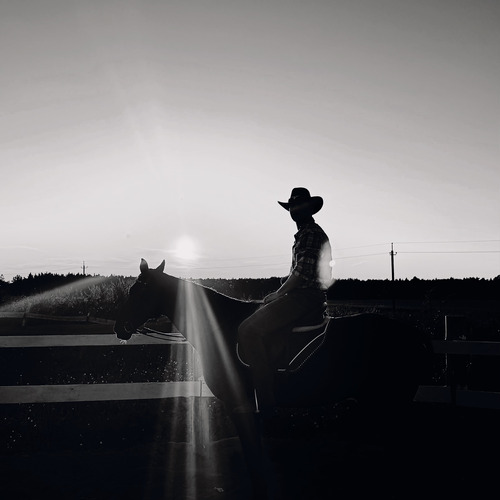 Photo #14038185