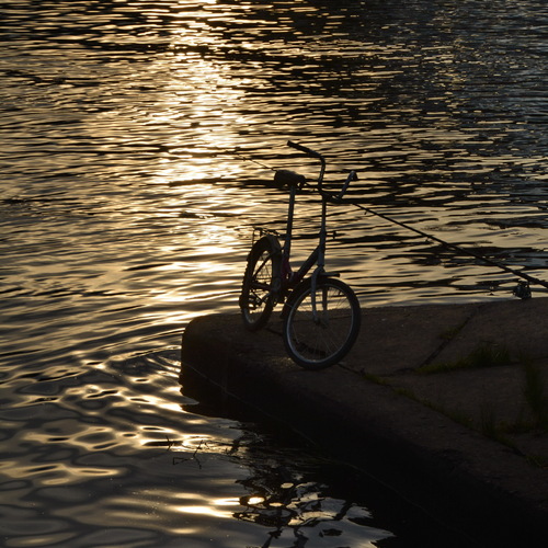Photo #14038187