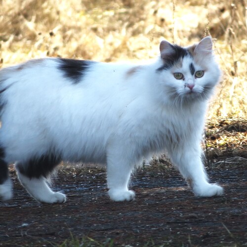 Photo #14038197
