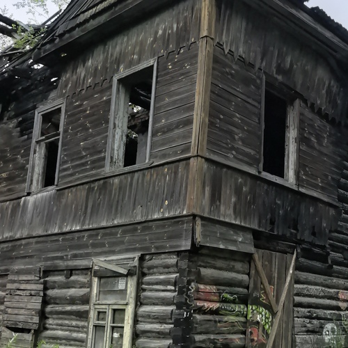 Photo #14038255
