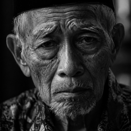 The portraitoure...