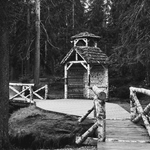 Photo #14038320