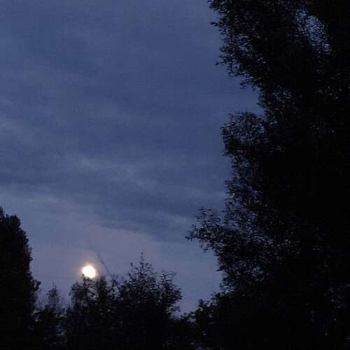 Photo #14038326