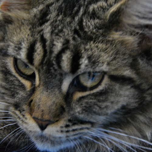 Photo #14038364