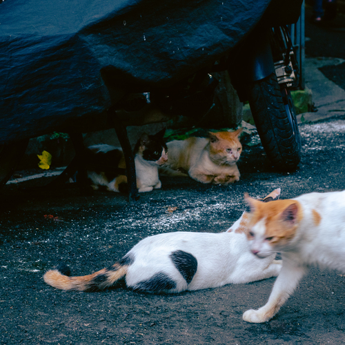 Photo #14038423