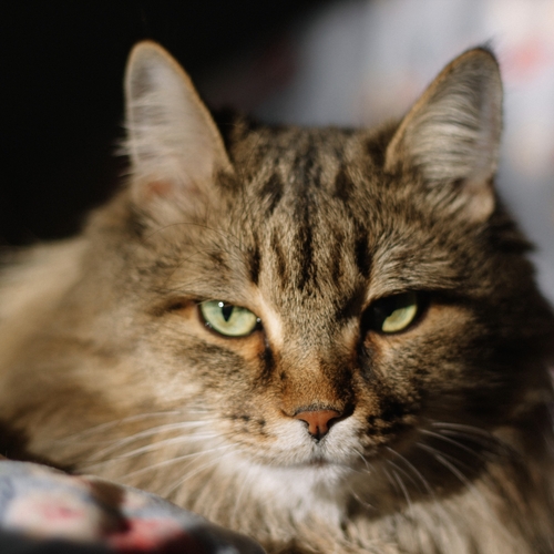 Photo #14038457