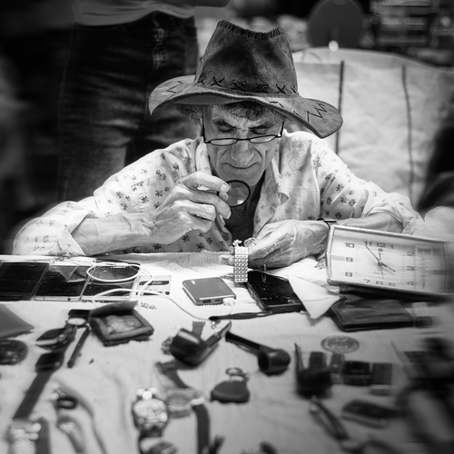 Photo #14038481