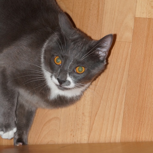 Photo #14038507