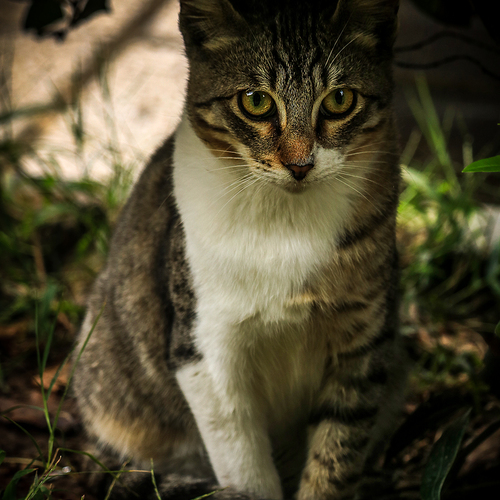 Photo #14038537