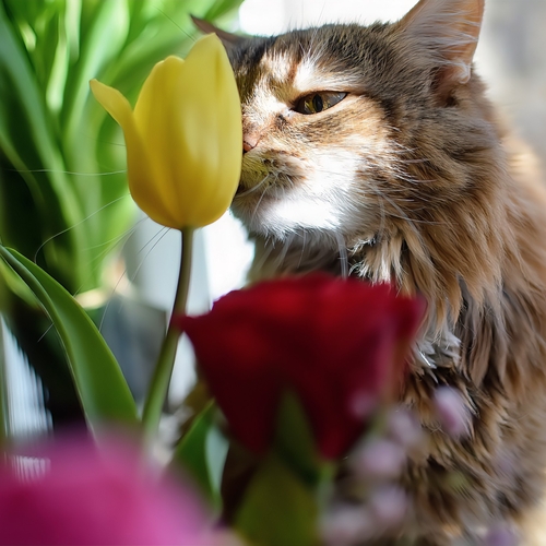 Photo #14038641