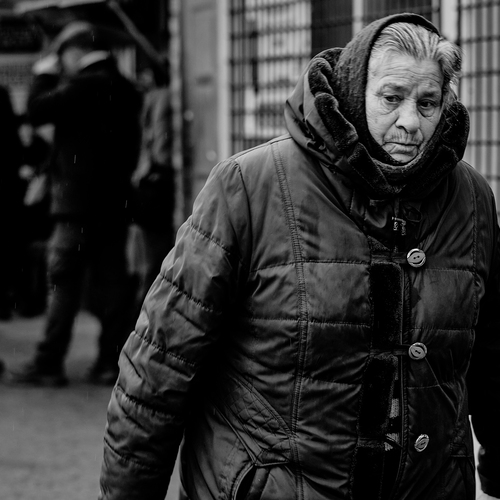Photo #14038648