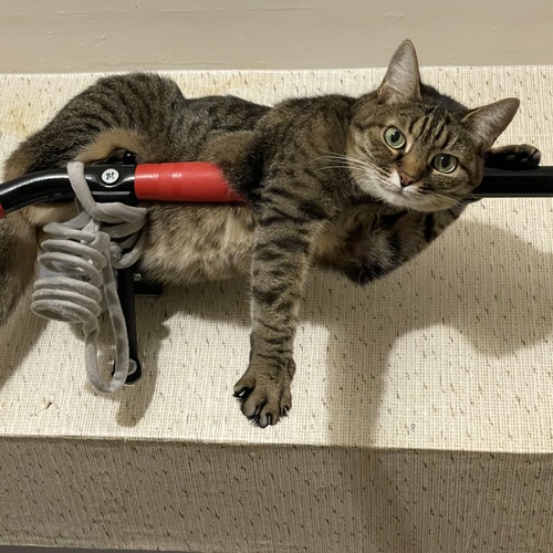 Photo #14038650