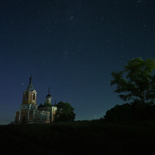 Photo #14038661