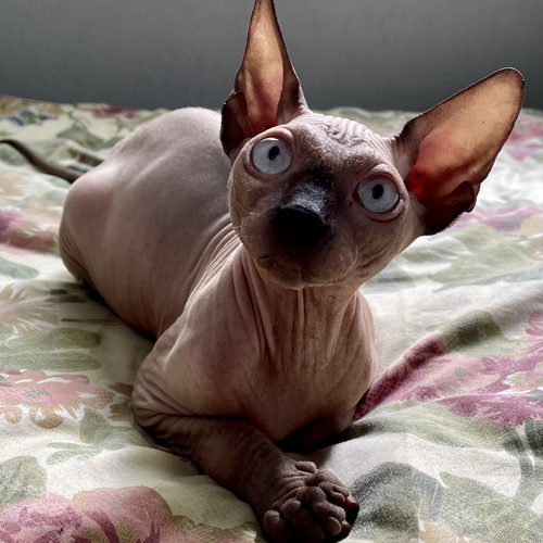 Photo #14038673