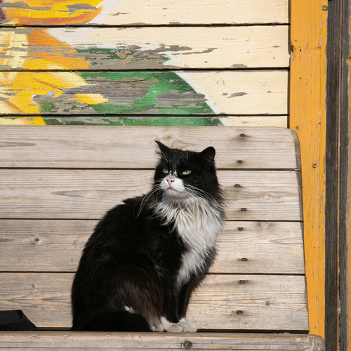 Photo #14038707