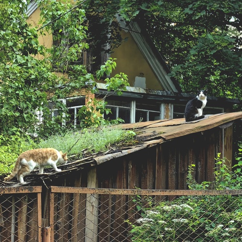 Photo #14038860