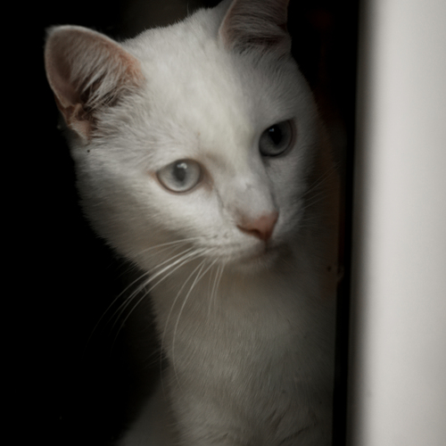 Photo #14038880