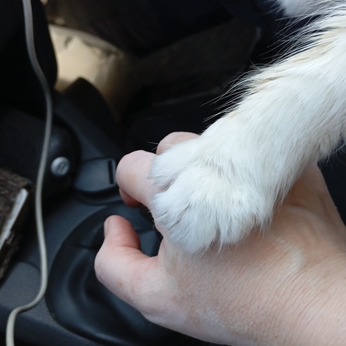 Photo #14038914