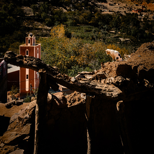 Photo #14038956