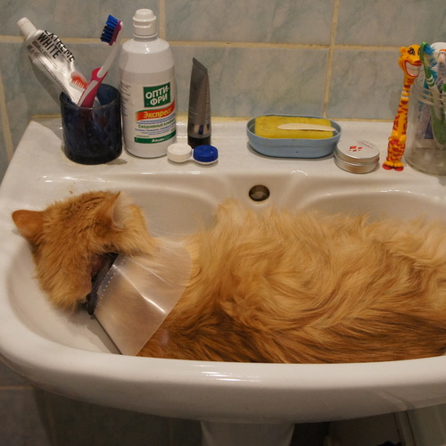 Photo #14038963