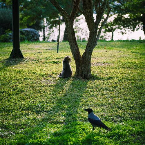 Photo #14038977