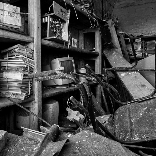 Photo #14039063