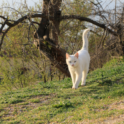 Photo #14039109