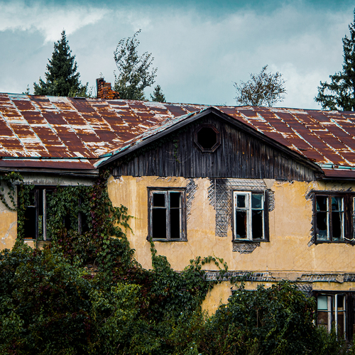 Photo #14039115