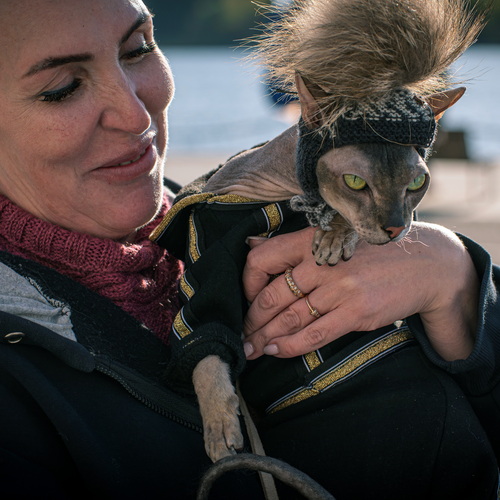 Photo #14039141