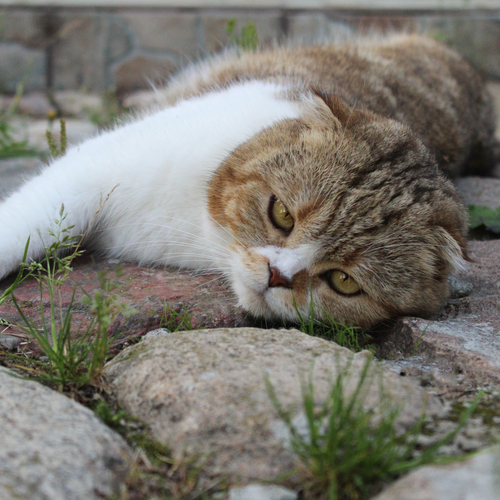Photo #14039155