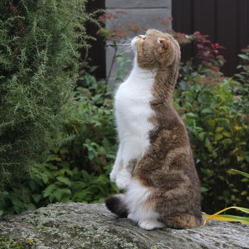Photo #14039158