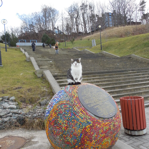 Photo #14039212