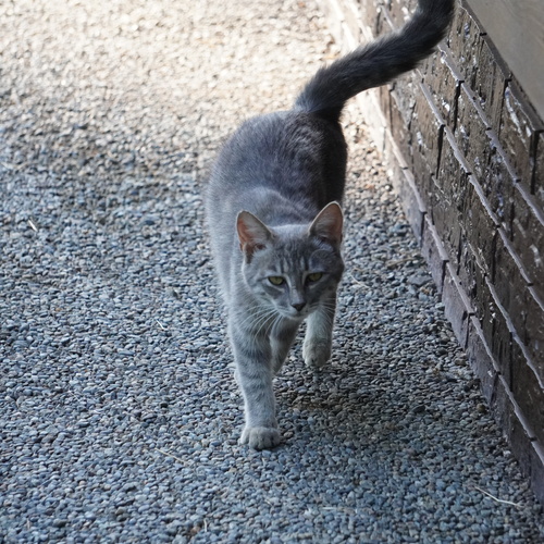 Photo #14039220