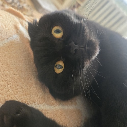 Photo #14039228